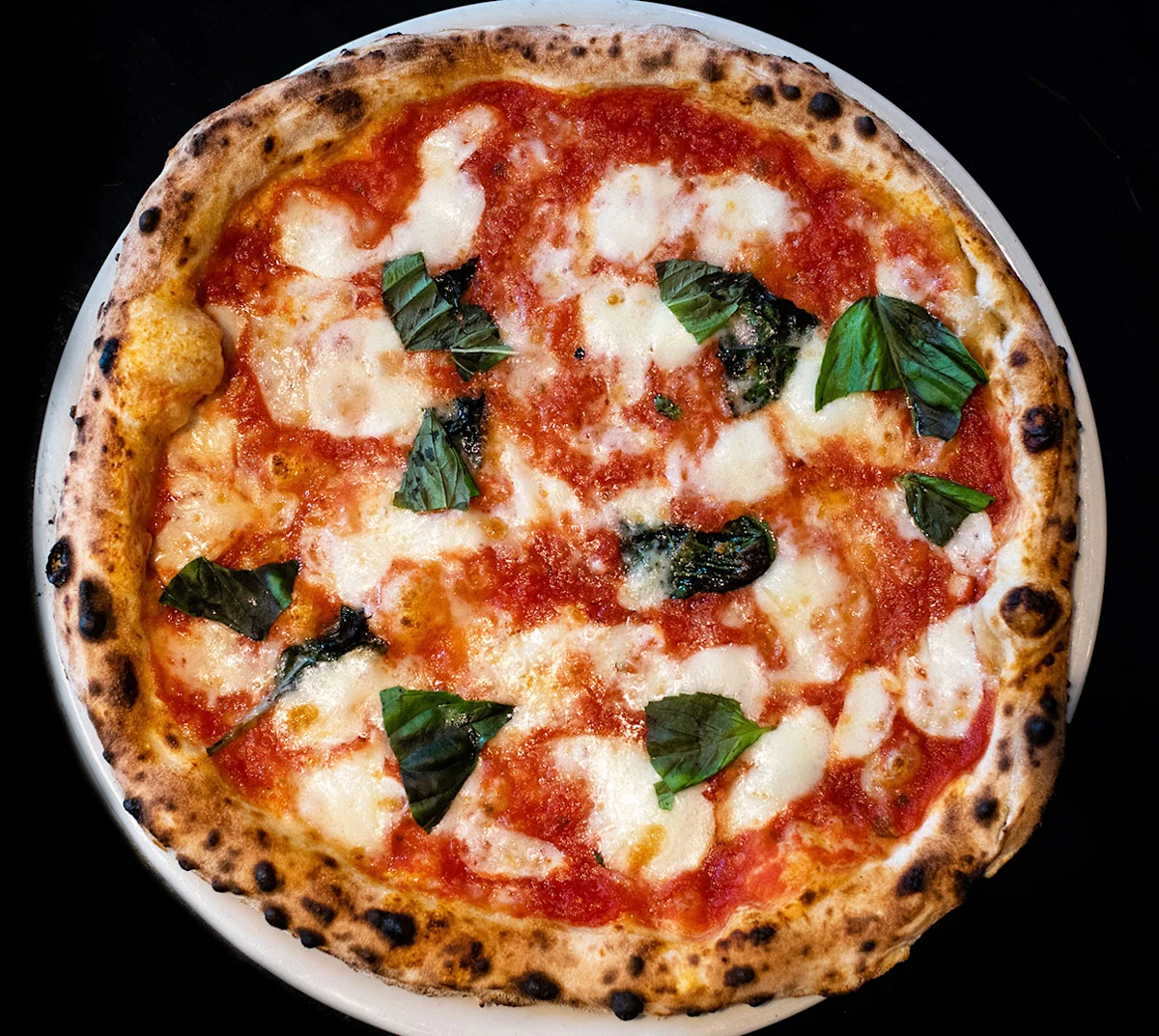 Neapolitan pizza with a blistered rim, tomato and basil